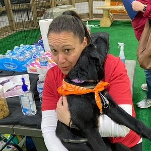 Meet your Posher, Cara